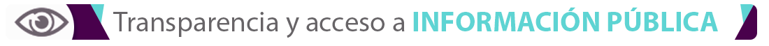 Transparencia y acceso a la informaci�n p�blica