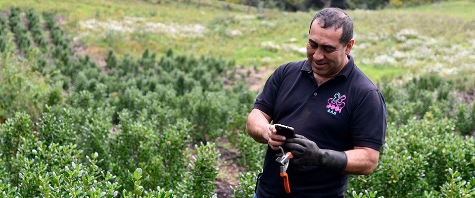 Se adjudica consultoría para el nuevo proyecto nacional de conectividad de MinTIC