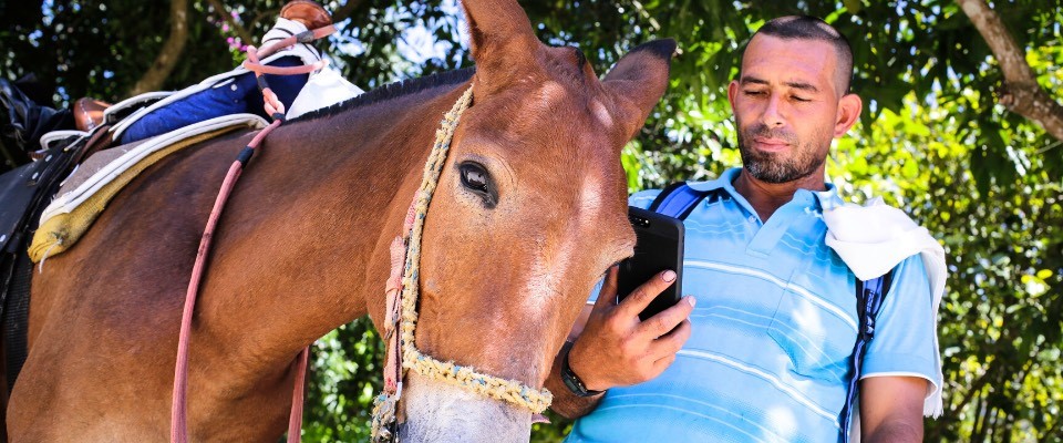 Conectividad rural Conectividad rural