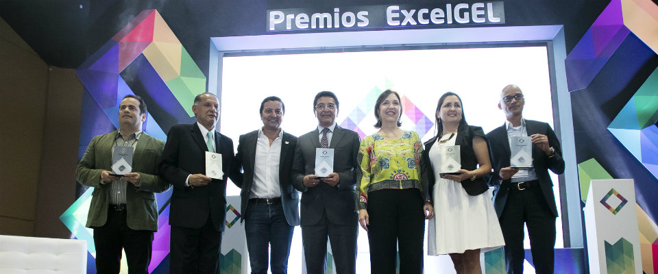 Premios ExcelGEL en E-xperience 2015 Premios ExcelGEL en E-xperience 2015