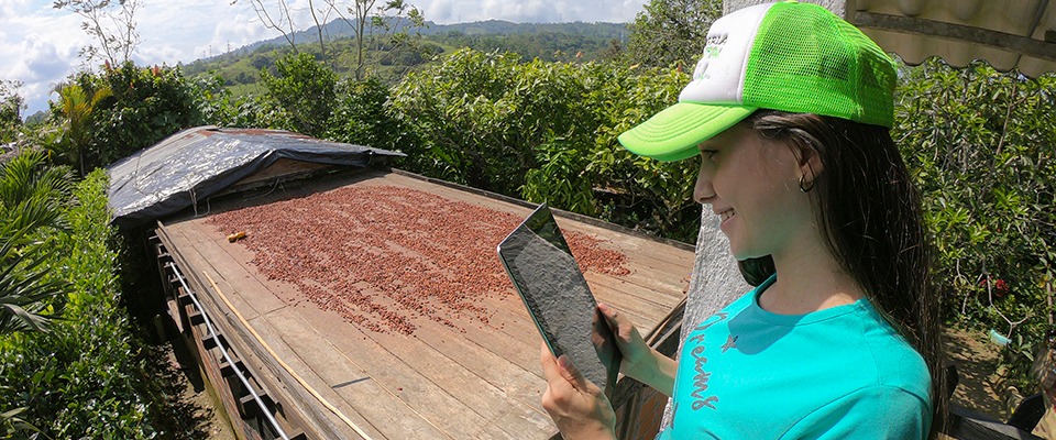 Decreto 825 del 8 de junio de 2020