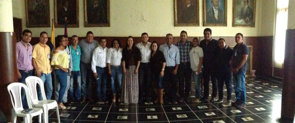 Institucionalidad TIC
