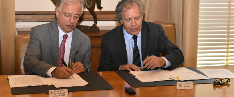 MinTIC y OEA