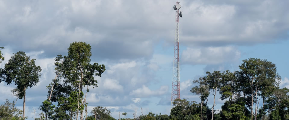 Foto de una torre de comunicaciones junto a arboles