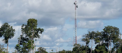 Foto de una torre de comunicaciones junto a arboles
