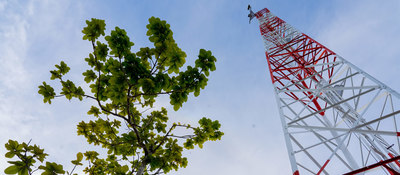 Foto de las ramas de un árbol junto a una antena eléctrica