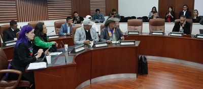 Foto de la Viceministra de Transformación Digita, Sindey Carolina Bernal Villamarín en la comisión sexta de la Cámara de Representantes