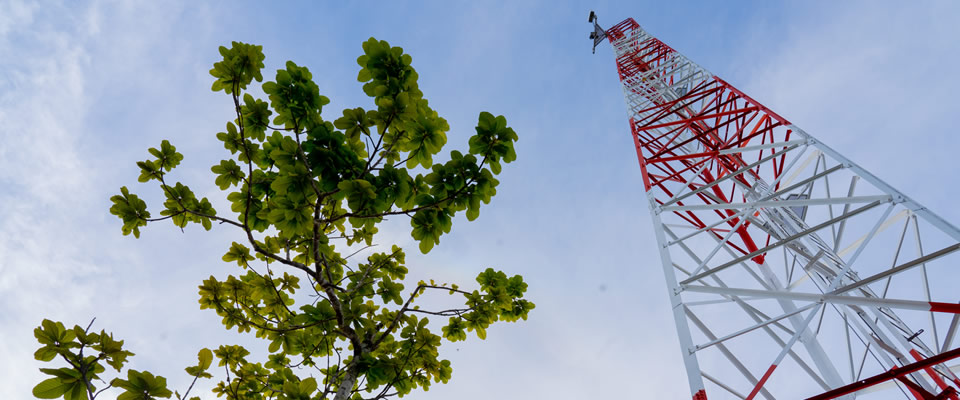 Foto de una antena junto a un arbol