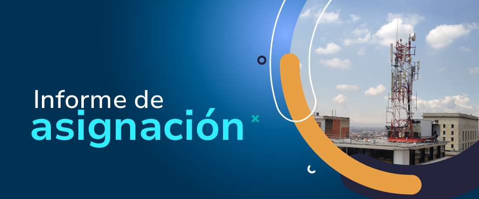 imagen diseñada de Informe de asignación