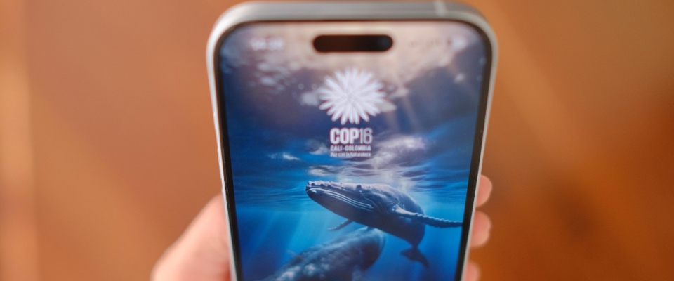 Foto un celular con el fondo de pantalla de una ballena en el mar