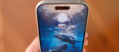 Foto un celular con el fondo de pantalla de una ballena en el mar