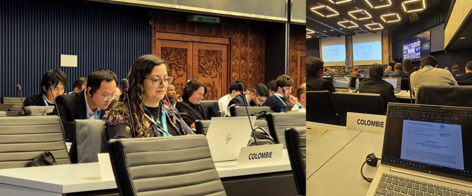 Foto de delegada colombiana en la sesiones de grupo de estudio 4A