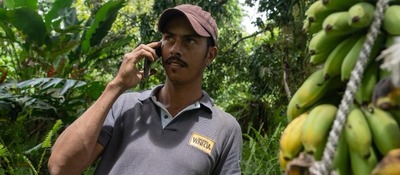 Foto de campesiono hablando por celular junto a un arbol de plátano