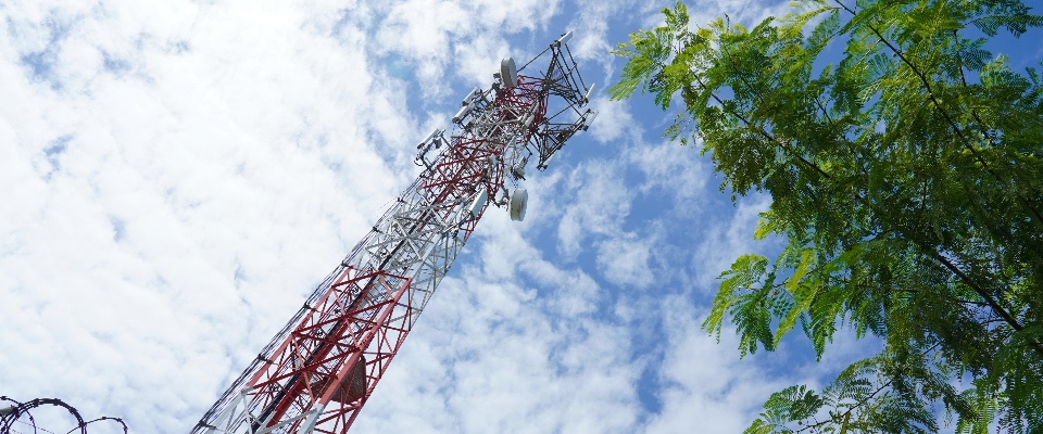 Antena de telecomunicaciones se eleva junto a árboles y cielo nublado, representando conectividad e infraestructura.