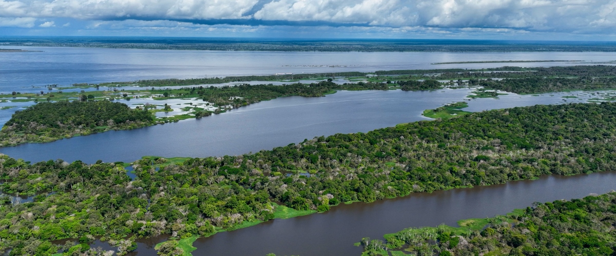 Vista aérea de ríos y lagunas rodeados de vegetación verde; al fondo se observan agua y nubes.