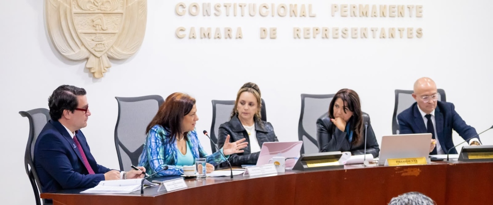Cinco personas sentadas en una mesa durante una reunión de la Cámara de Representantes; una mujer habla y gesticula.