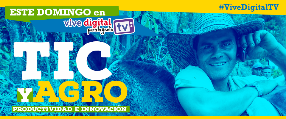  #ViveDigitalTV