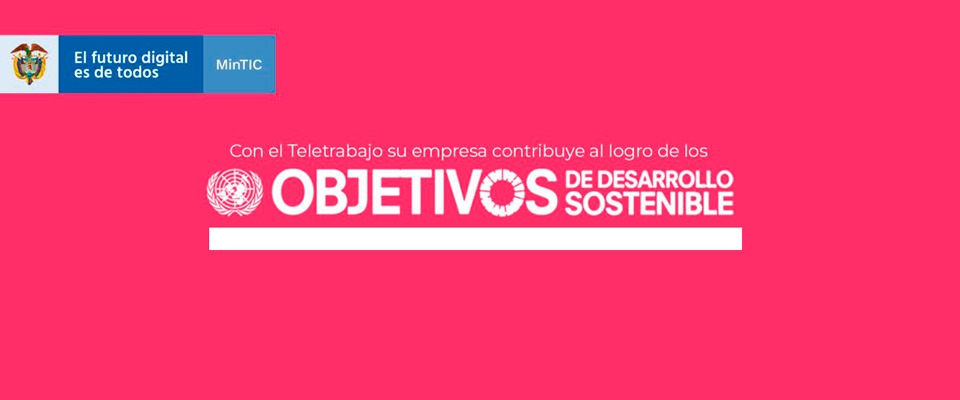 Teletrabajo y empresas: una fórmula para alcanzar los Objetivos de Desarrollo Sostenible (ODS)