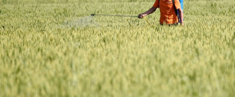 Cerca de 3.000 productores agropecuarios del país se verán beneficiados al año con la implementación de Inteligencia Artificial al proceso de análisis de suelos. Cerca de 3.000 productores agropecuarios del país se verán beneficiados al año con la implementación de Inteligencia Artificial al proceso de análisis de suelos.