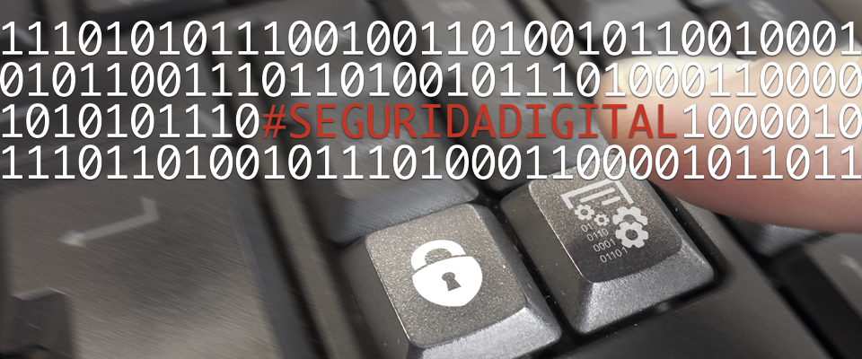 Seguridad Digital