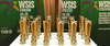 Premio WSIS Premio WSIS